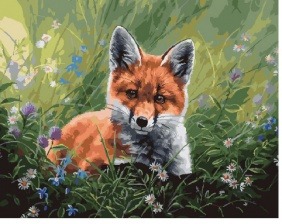 Картина по номерам Paintboy GX 25634 Лисёнок 40x50 см