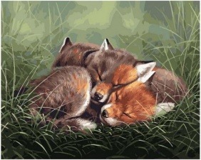 Картина по номерам Paintboy PK 68067 Спящие лисята 40х50 см