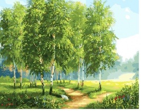 Картина по номерам Paintboy GX 29340 Березовая роща 40x50 см