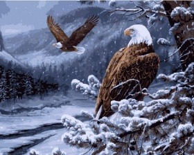 Картина по номерам Paintboy GX 7124 Гордые птицы 40x50 см