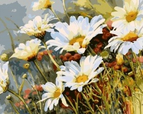 Картина по номерам Paintboy GX 7077 Ромашки 40x50 см