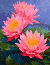 Картина по номерам Paintboy GX 29919 Кувшинки 40x50 см