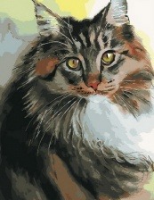 Картина по номерам Paintboy PK 33081 Пушистый кот 40x50 см