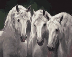 Картина по номерам Paintboy PK 49019 Белые мустанги 40x50 см