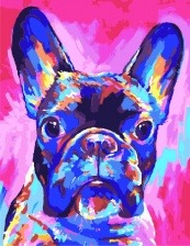 Картина по номерам Paintboy PK 35024 Взгляд французского бульдога 40x50 см