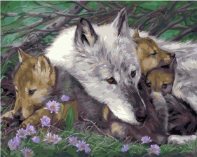 Картина по номерам Paintboy PK 41081 Заботливая волчица 40x50 см