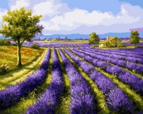 Картина по номерам Paintboy GX 8998 Лавандовый Прованс 40x50 см