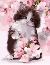 Картина по номерам Paintboy GX 24603 Весенний котёнок 40x50 см