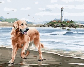 Картина по номерам Paintboy GX 34293 Радостный пес у берега 40x50 см