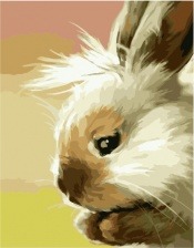 Картина по номерам Paintboy PK 49011 Зайчик 40x50 см
