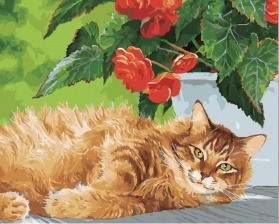 Картина по номерам Paintboy PK 26033 (GX 28590) Рыжий пушистик 40x50 см