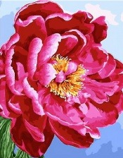 Картина по номерам Paintboy PK 33029 Пышный цвет 40x50 см