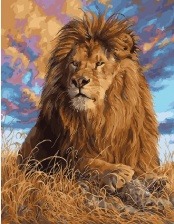 Картина по номерам Paintboy GX 29339 Царь зверей 40x50 см