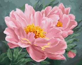 Картина по номерам Paintboy GX 23551 Китайские пионы 40x50 см