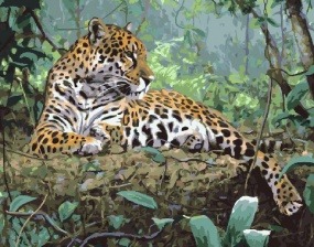 Картина по номерам Paintboy GX 30487 Отдых хищника 40x50 см