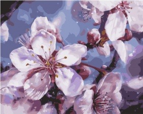 Картина по номерам Paintboy GX 33974 Цветы вишни 40x50 см
