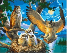 Картина по номерам Paintboy GX 34363 Ночная жизнь сов 40x50 см