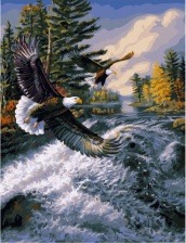 Картина по номерам Paintboy GX 34875 Полет над бушующей рекой 40x50 см
