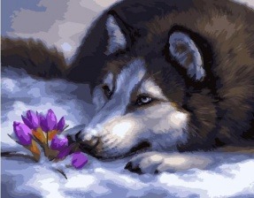 Картина по номерам Paintboy GX 24312 Весенний хаски 40х50 см