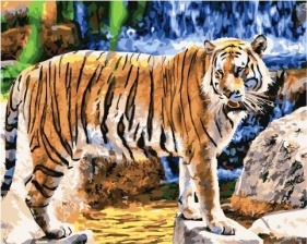 Картина по номерам Paintboy GX 35042 Хранитель водопада 40х50 см