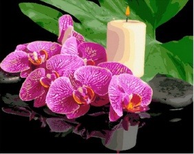 Картина по номерам Paintboy GX 29058 Орхидея и свеча 40x50 см