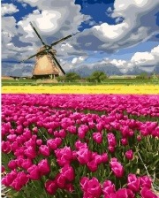 Картина по номерам Paintboy GX 27313 Цветочное поле 40x50 см