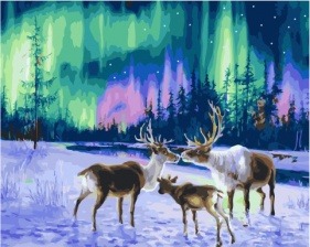 Картина по номерам Paintboy PK 41020 Северное сияние 40x50 см