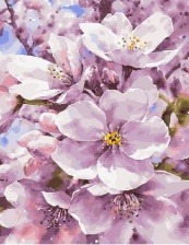 Картина по номерам Paintboy PK 33090 Яблоневый дым 40x50 см