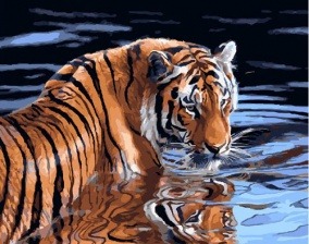 Картина по номерам Paintboy GX 23890 Отражение силы 40x50 см