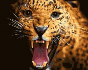 Картина по номерам Paintboy GX 28070 Хищник 40x50 см
