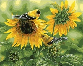 Картина по номерам Paintboy GX 34252 Птичка на подсолнухе 40x50 см