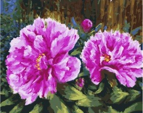 Картина по номерам Paintboy GX 32666 Пушистые цветы 40х50 см