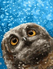 Картина по номерам Paintboy GX 31646 Сова и снежинки 40x50 см