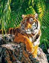 Картина по номерам Paintboy GX 8306 Дальневосточный красавец 40x50 см
