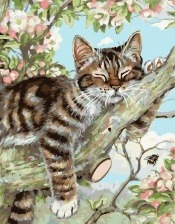Картина по номерам Paintboy GX 27578 Котенок на ветке 40x50 см