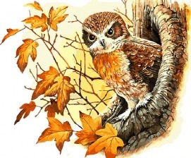 Картина по номерам Paintboy GX 31636 Сова в осенней листве 40x50 см