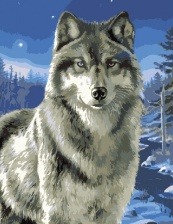 Картина по номерам Paintboy GX 6528 Одинокий волк 40x50 см