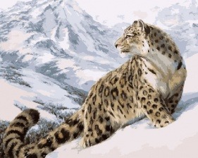 Картина по номерам Paintboy GX 7471 Снежный барс 40x50 см