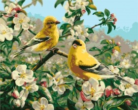 Картина по номерам Paintboy GX 8476 Желтые птички 40x50 см