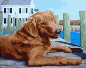 Картина по номерам Paintboy PK 72048 Пес на причале 40х50 см