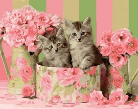 Картина по номерам Paintboy GX 32904 Коробка с котятами 40x50 см