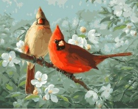 Картина по номерам Paintboy GX 27930 Кардиналы на ветке 40x50 см