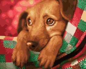 Картина по номерам Paintboy GX 31634 Грустный взгляд 40x50 см