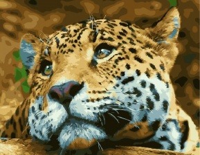 Картина по номерам Paintboy GX 27742 Леопард 40x50 см