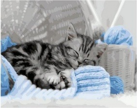 Картина по номерам Paintboy GX 36077 Спящий котенок 40х50 см