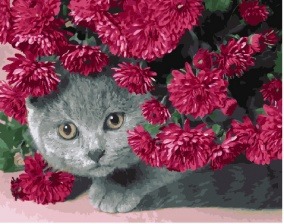 Картина по номерам Paintboy GX 28923 Пушистый охотник 40x50 см