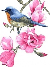 Картина по номерам Paintboy PK 33027 Птичка на ветке 40x50 см