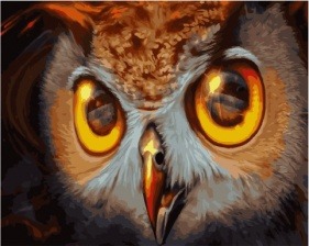 Картина по номерам Paintboy GX 30086 Хищный взгляд совы 40x50 см