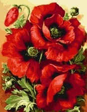 Картина по номерам Paintboy GX 7662 Яркие маки 40x50 см