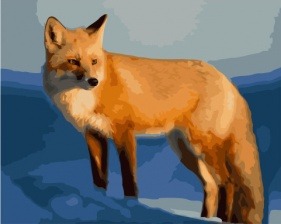 Картина по номерам Paintboy PK 41075 Лисица 40x50 см